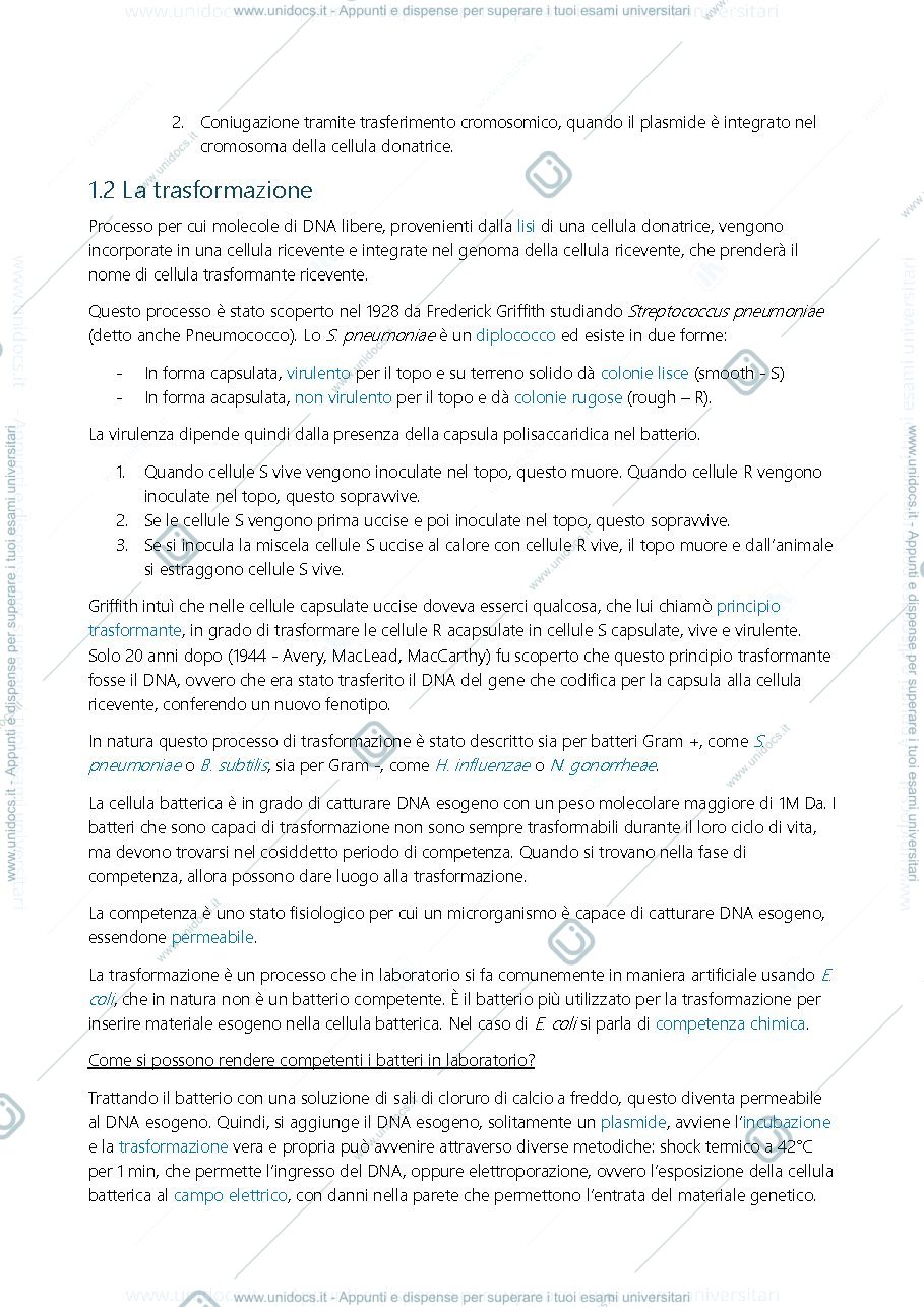 Anteprima pagina 2 — Microbiologia Secondo esonero