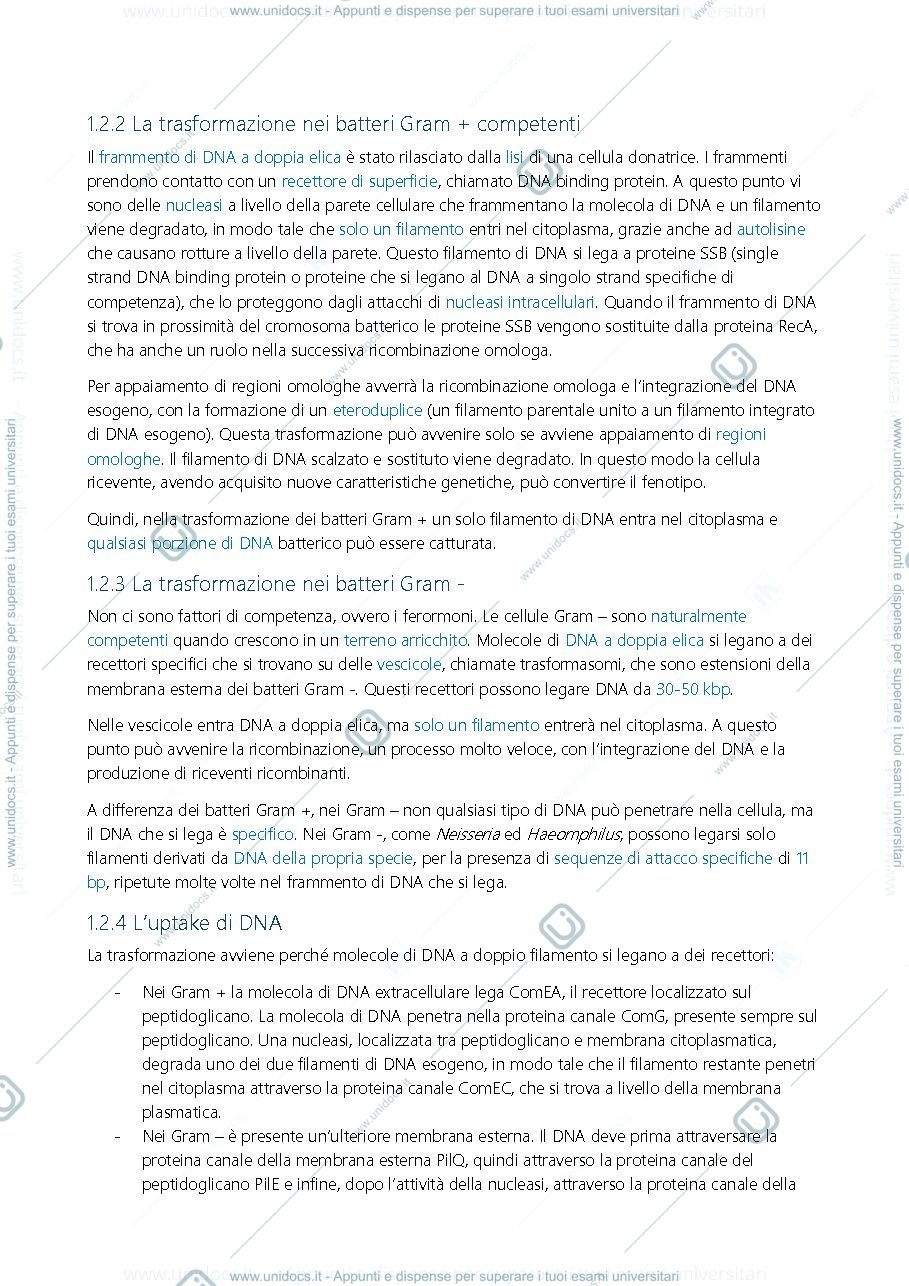 Anteprima pagina 4 — Microbiologia Secondo esonero