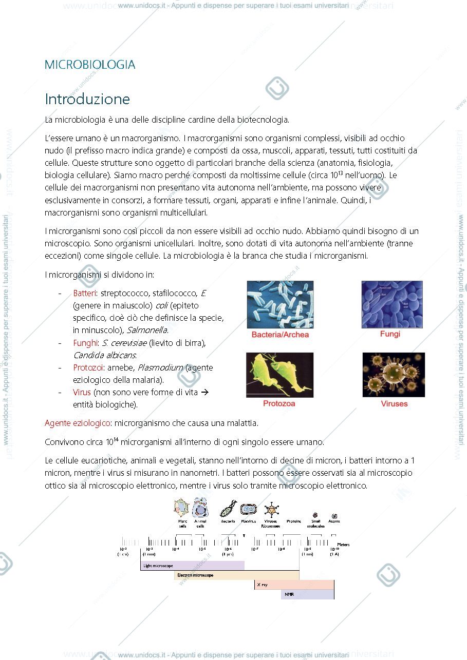Anteprima pagina 1 — Microbiologia Primo esonero