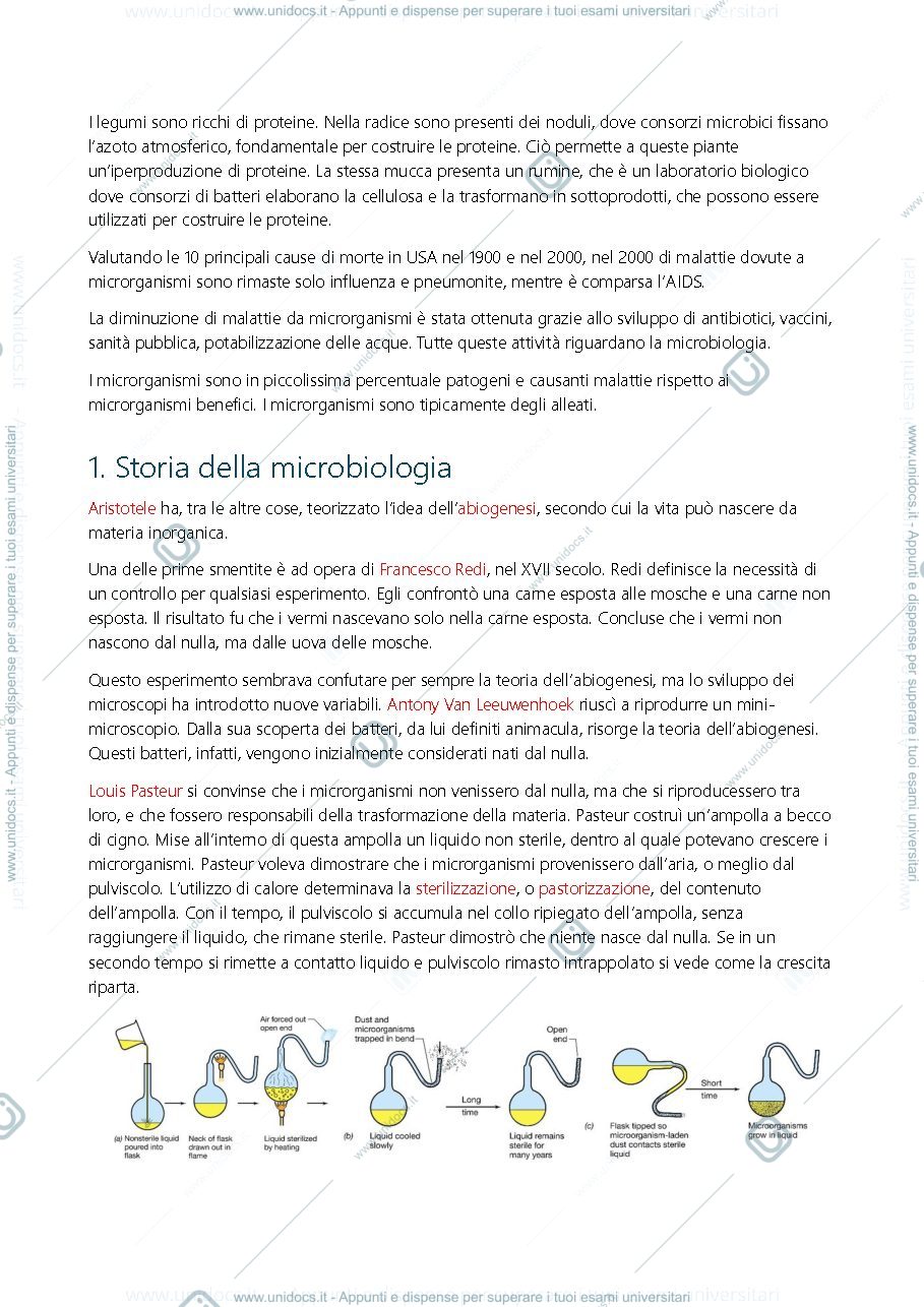 Anteprima pagina 3 — Microbiologia Primo esonero