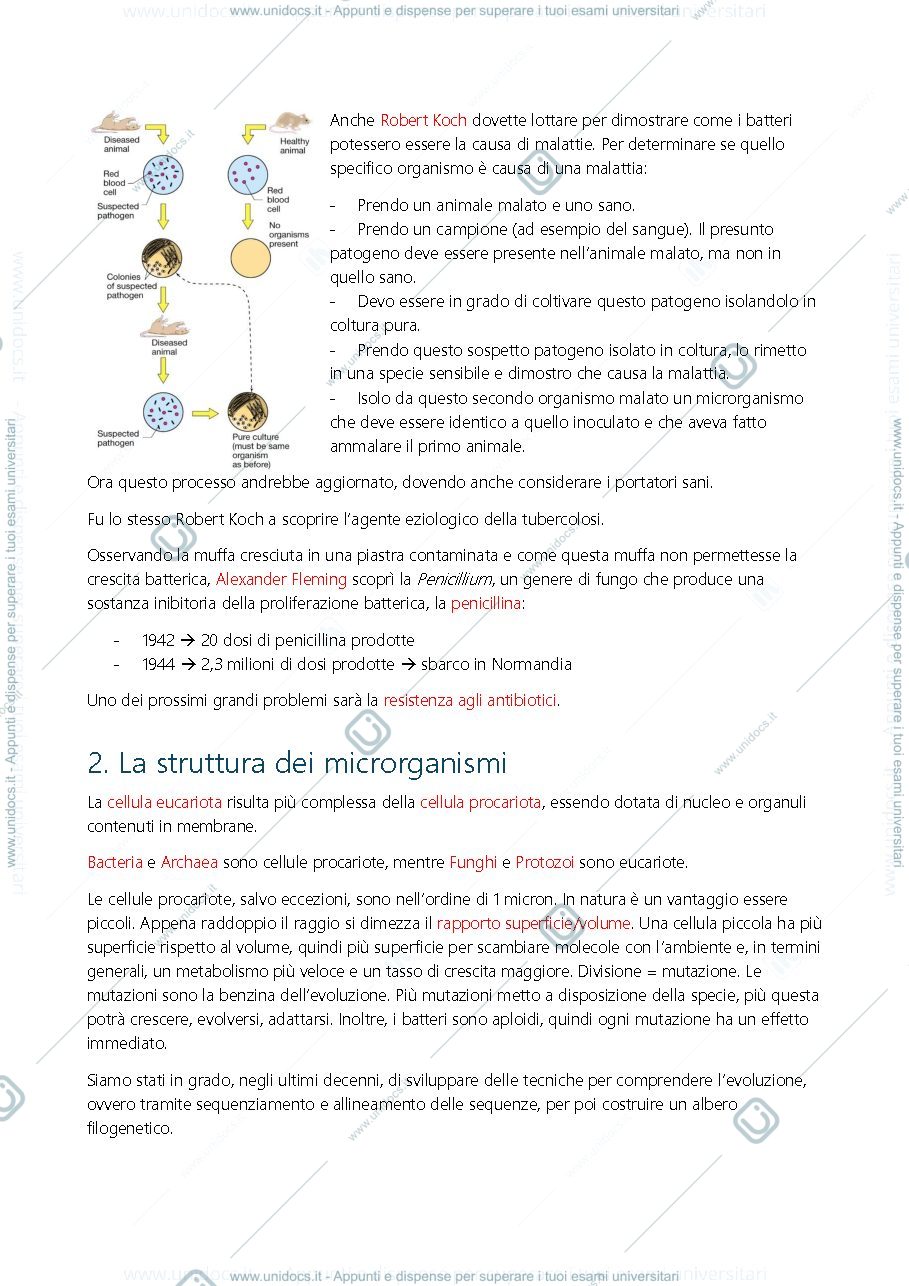 Anteprima pagina 4 — Microbiologia Primo esonero