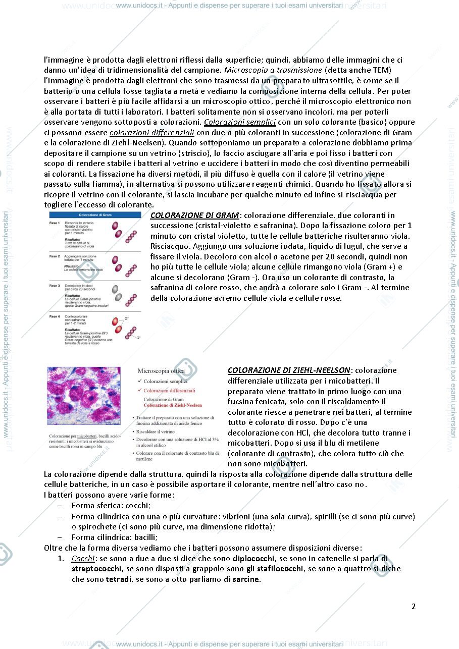 Anteprima pagina 2 — Sbobine microbiologia