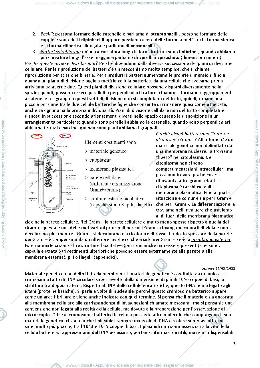 Anteprima pagina 3 — Sbobine microbiologia