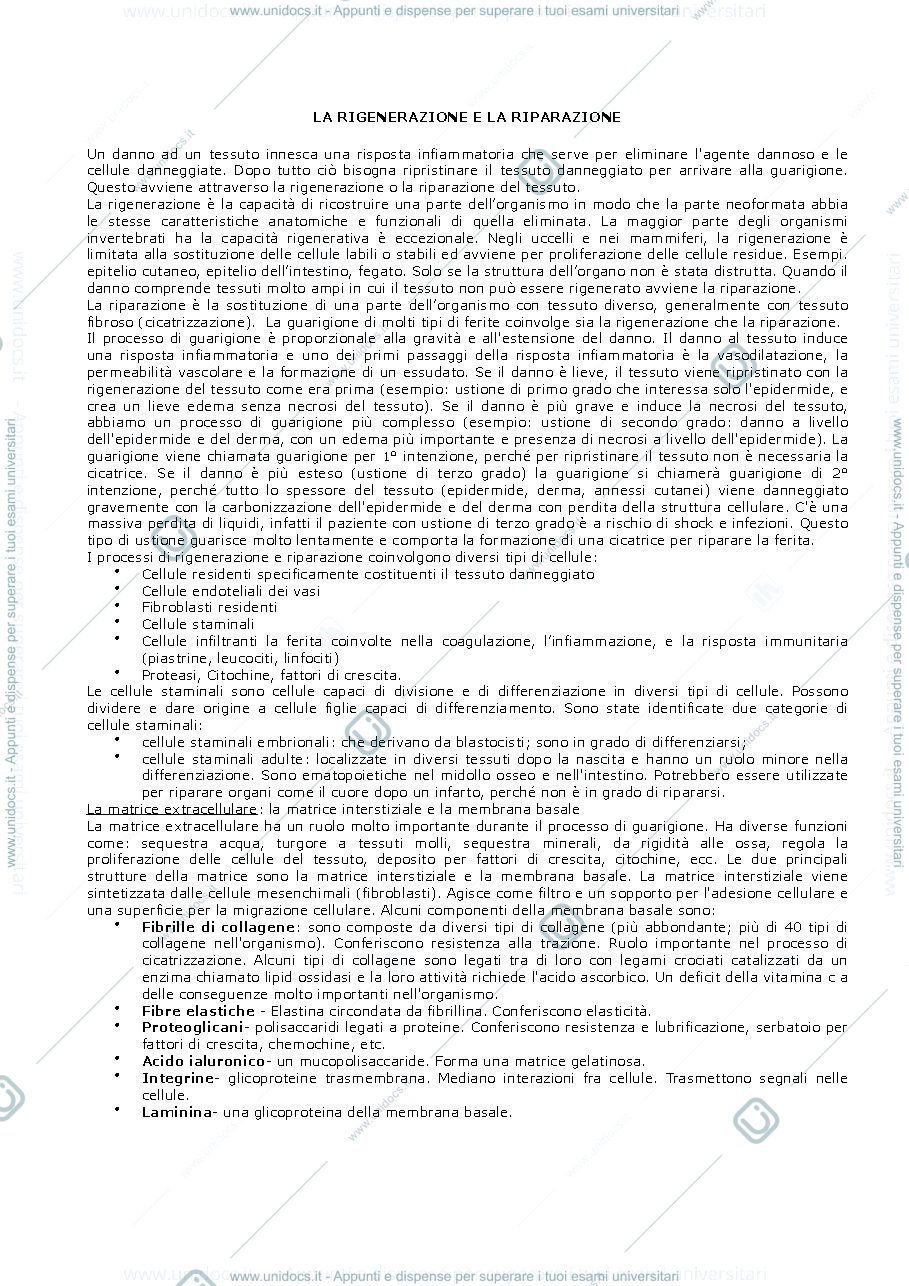 Anteprima pagina 1 — PATOLOGIA GENERALE LEZIONE 5