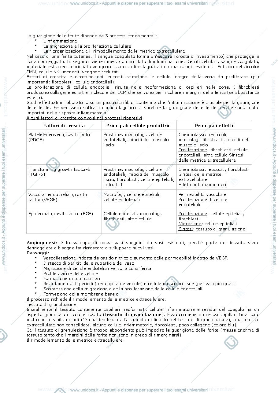 Anteprima pagina 2 — PATOLOGIA GENERALE LEZIONE 5