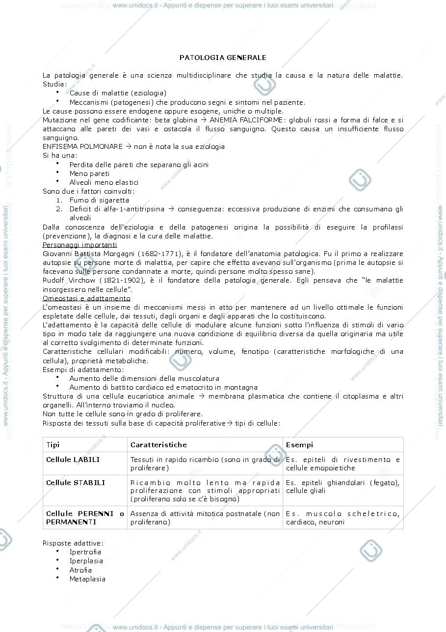 Anteprima pagina 1 — PATOLOGIA GENERALE 