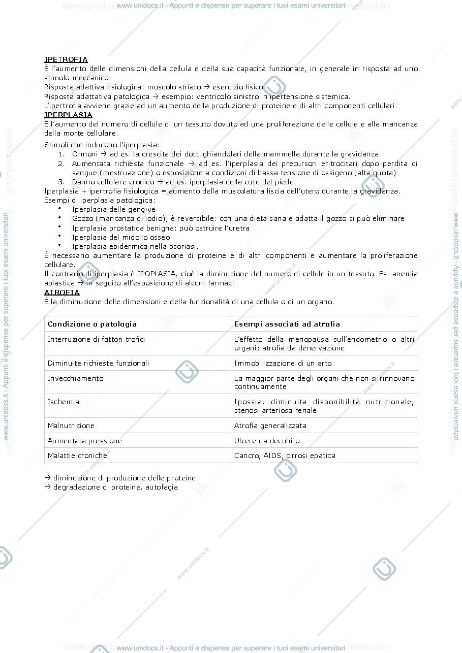 Anteprima pagina 2 — PATOLOGIA GENERALE 