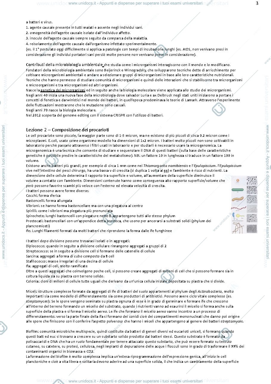 Anteprima pagina 3 — microbiologia generale