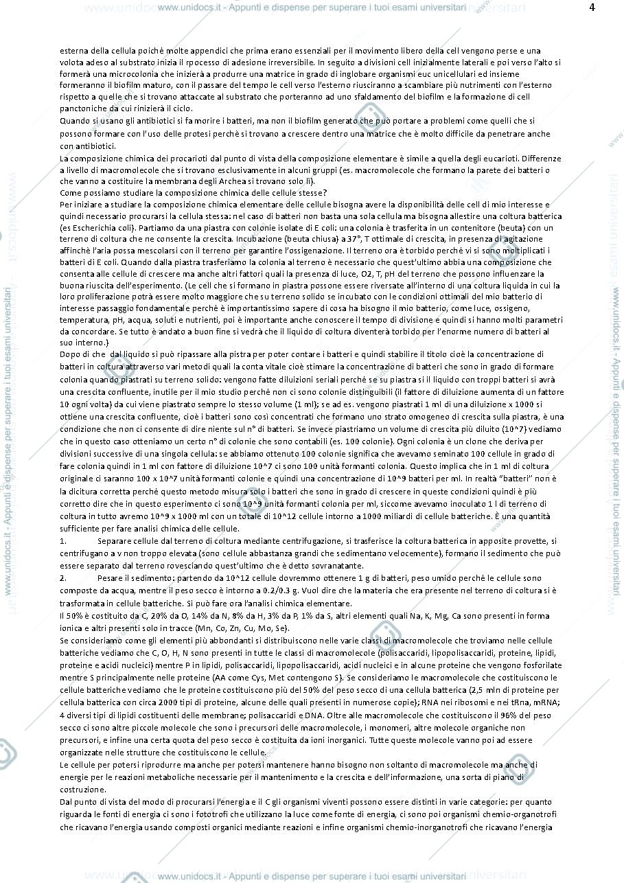 Anteprima pagina 4 — microbiologia generale