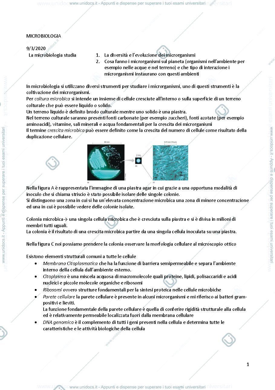 Anteprima pagina 1 — Microbiologia 