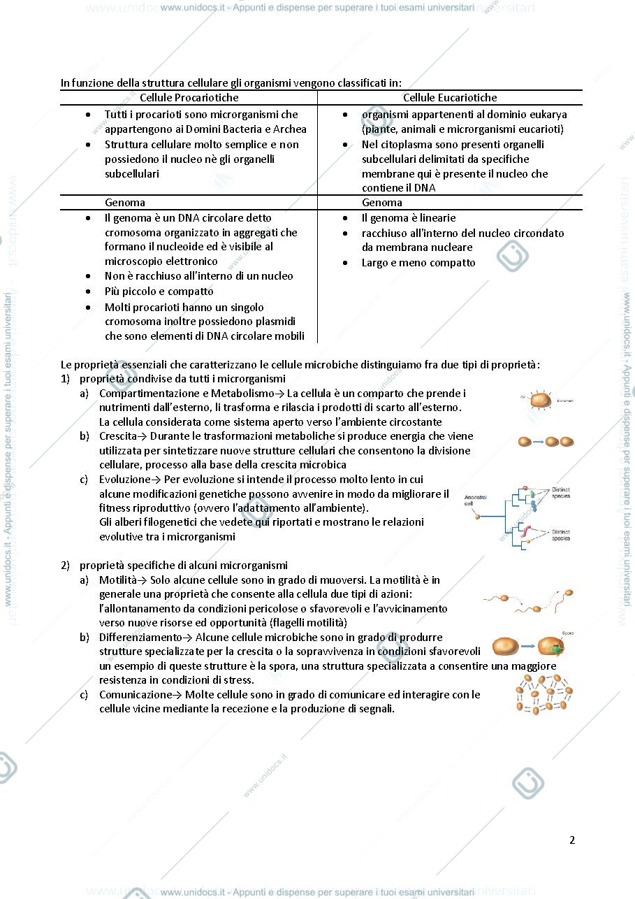Anteprima pagina 2 — Microbiologia 