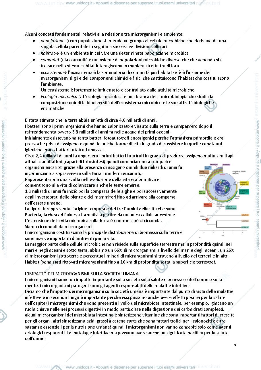 Anteprima pagina 3 — Microbiologia 