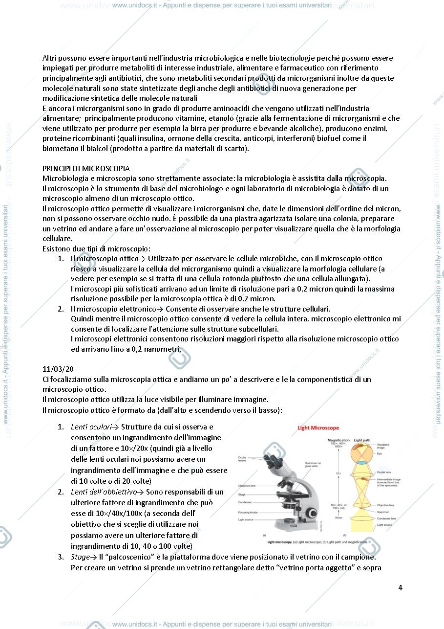 Anteprima pagina 4 — Microbiologia 