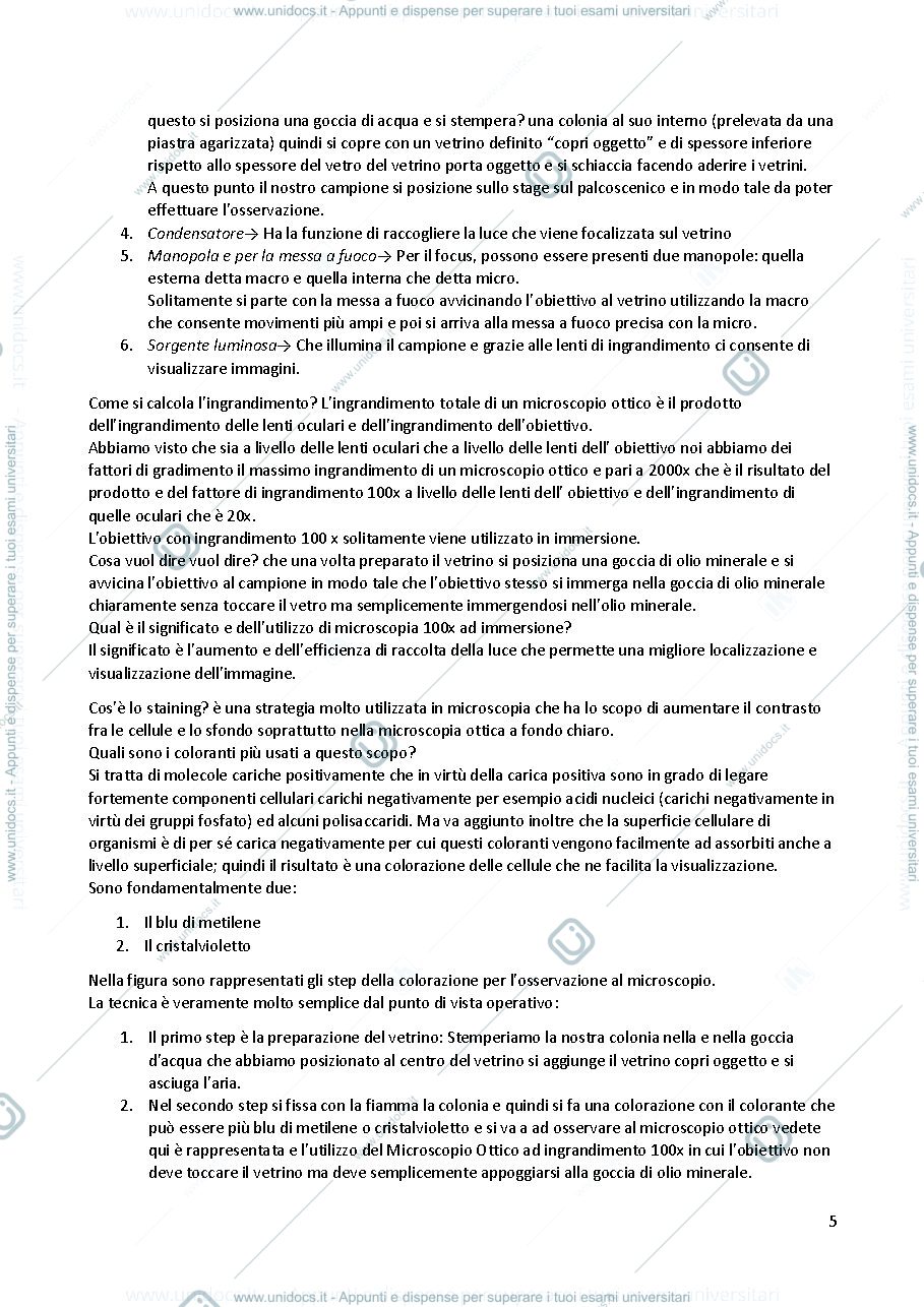 Anteprima pagina 5 — Microbiologia 