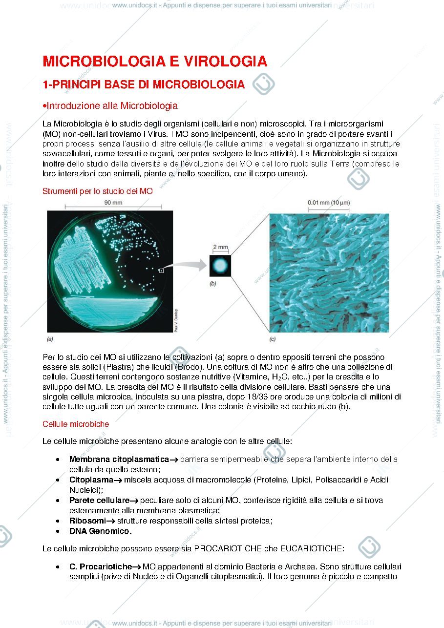 Anteprima pagina 1 — Microbiologia
