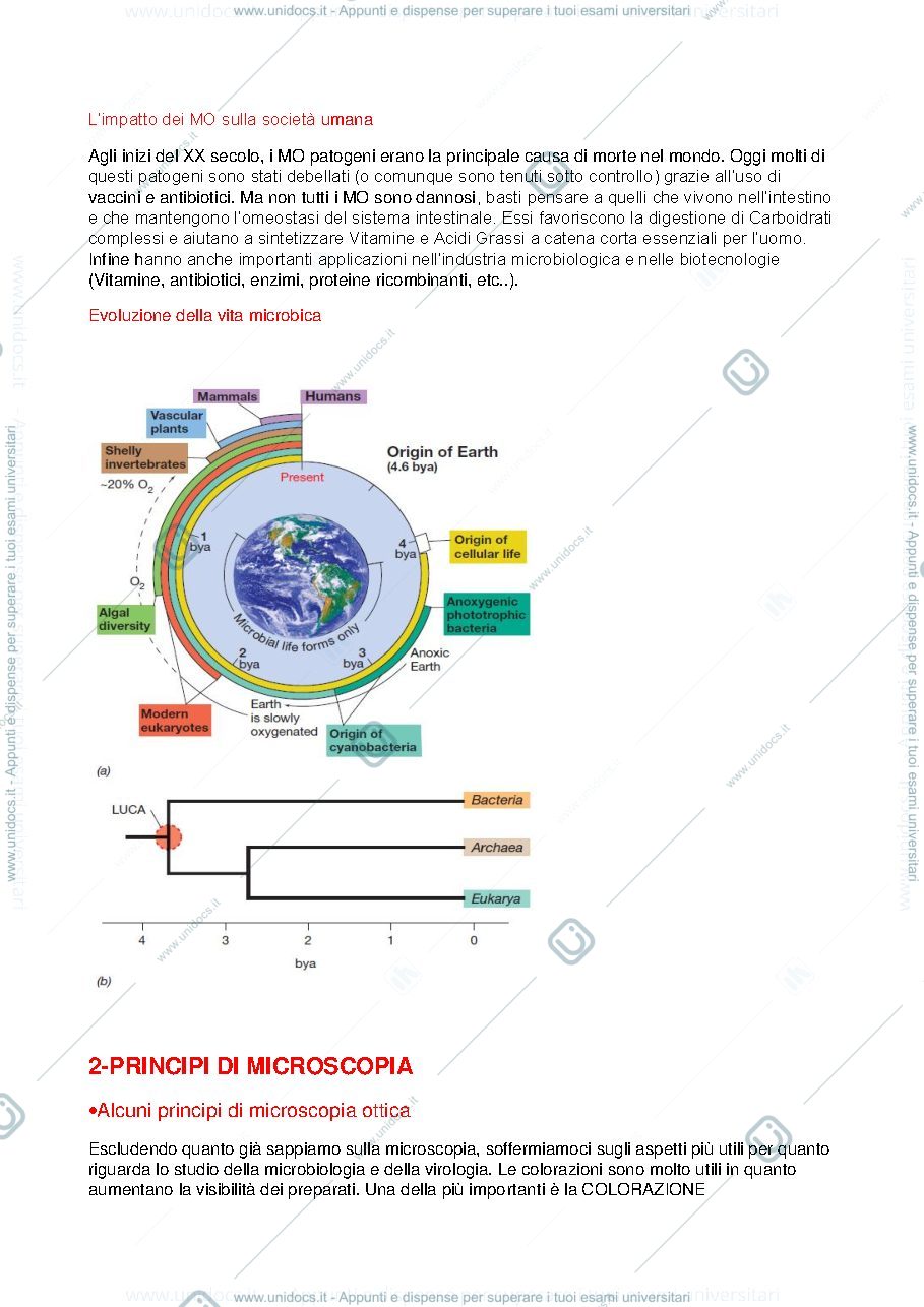 Anteprima pagina 3 — Microbiologia