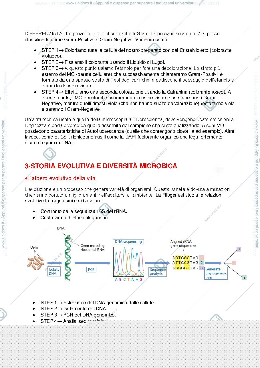 Anteprima pagina 4 — Microbiologia