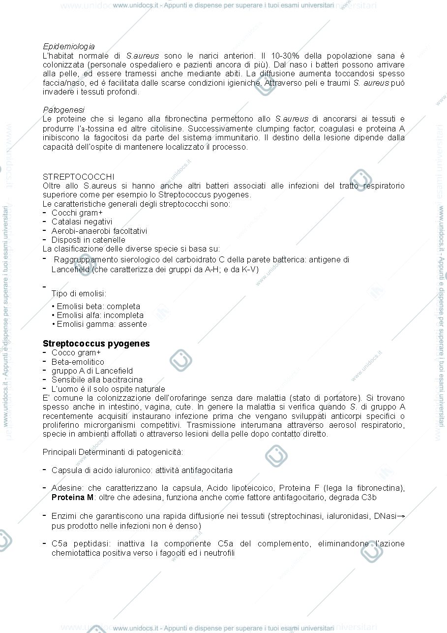 Anteprima pagina 3 — infezioni microbiche dell'apparato respiratorio
