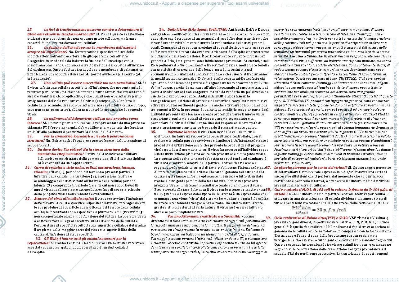 Anteprima pagina 2 — Esempi domande