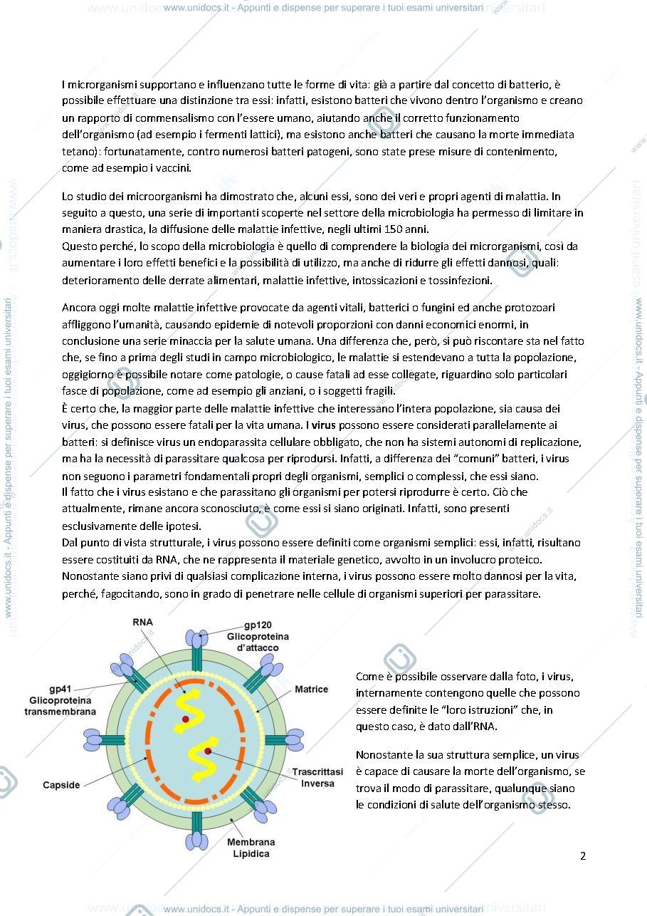 Anteprima pagina 2 — Microbiologia 