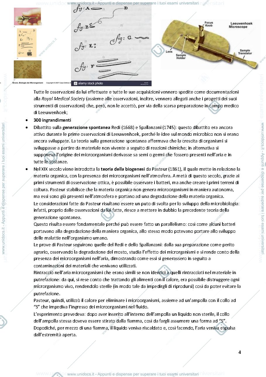 Anteprima pagina 4 — Microbiologia 