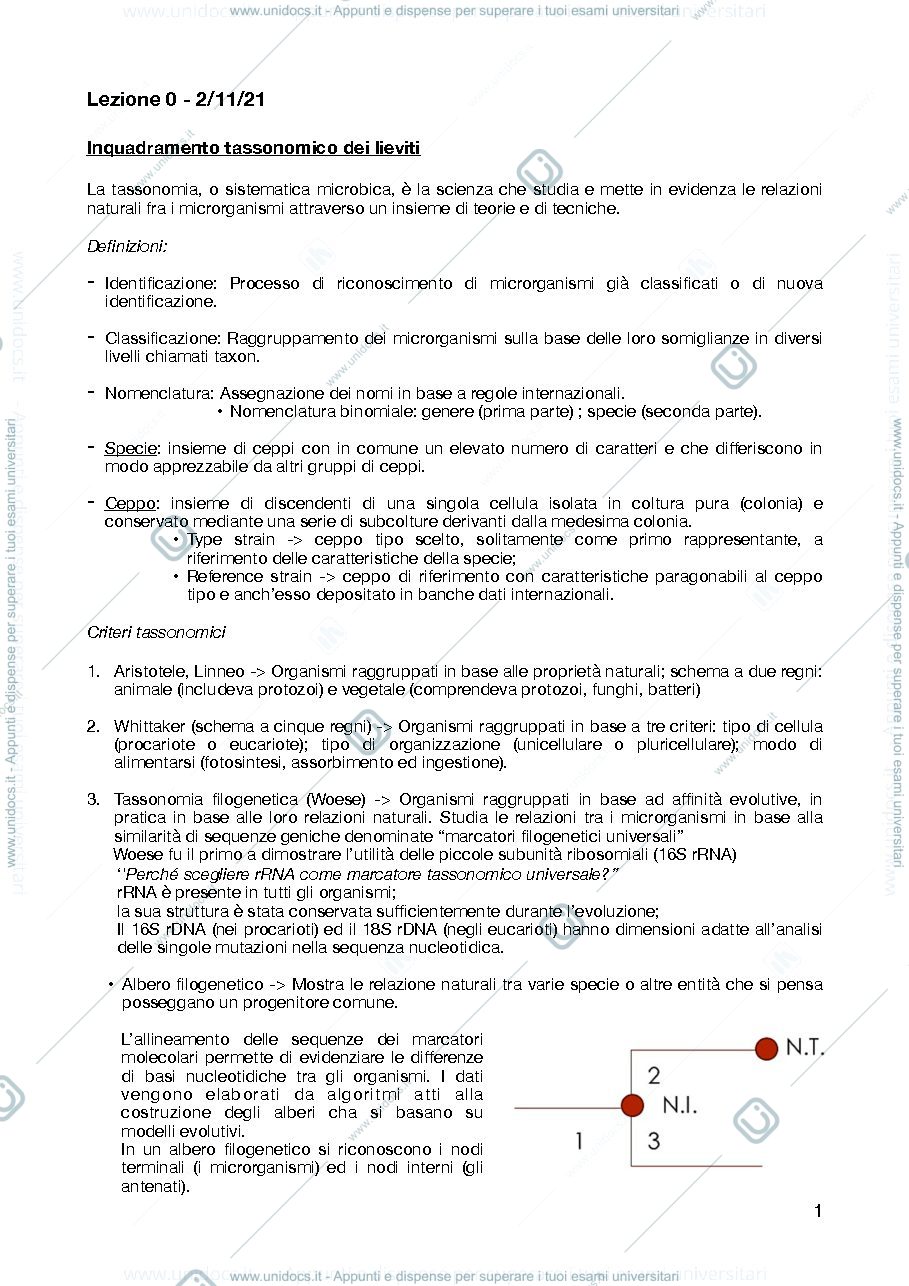 Anteprima pagina 1 — Appunti Microbiologia enologica