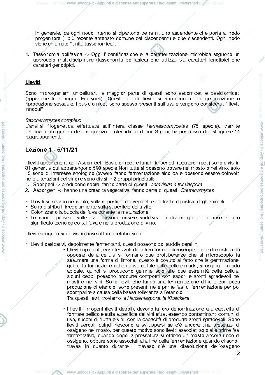 Anteprima pagina 2 — Appunti Microbiologia enologica