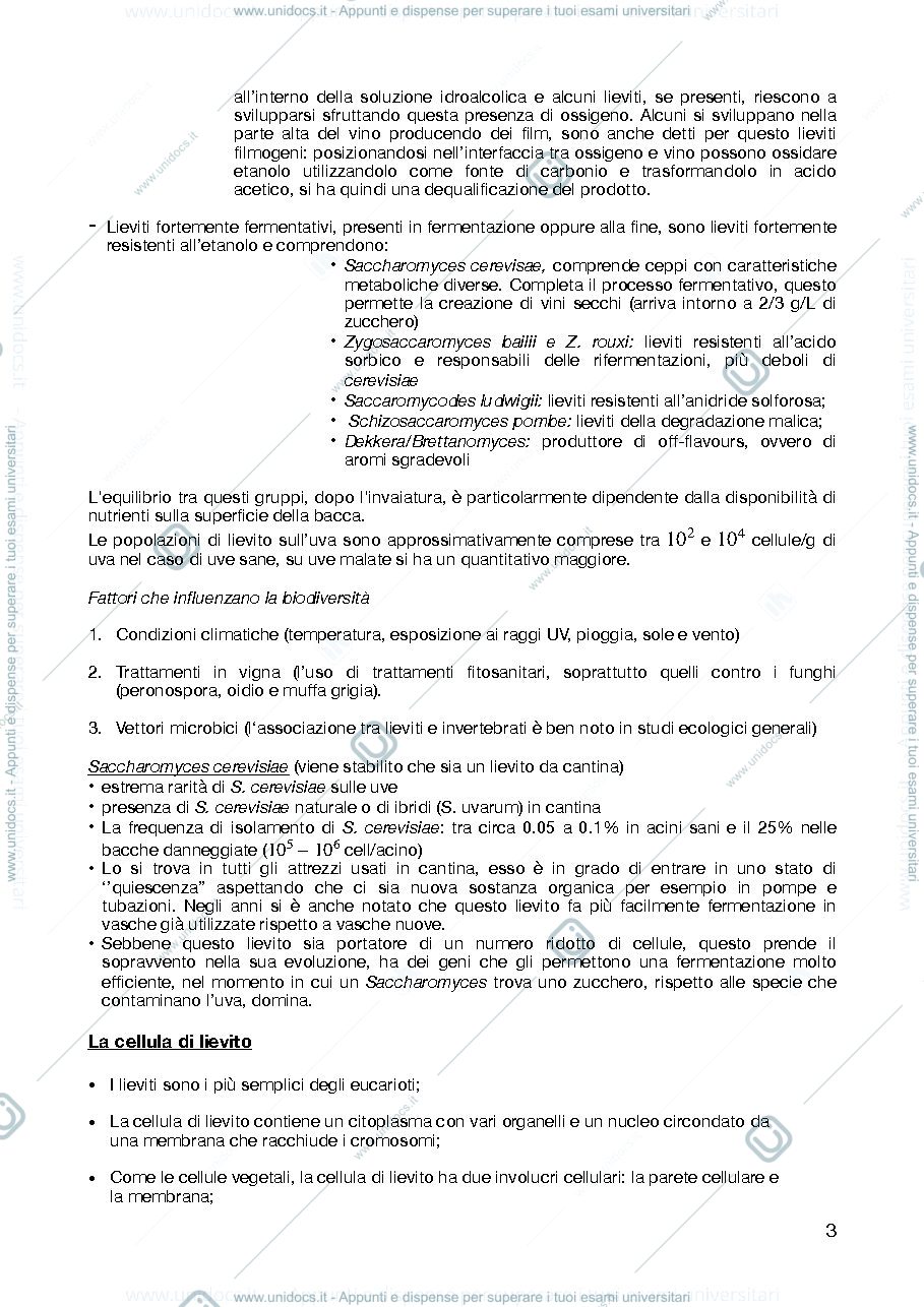 Anteprima pagina 3 — Appunti Microbiologia enologica