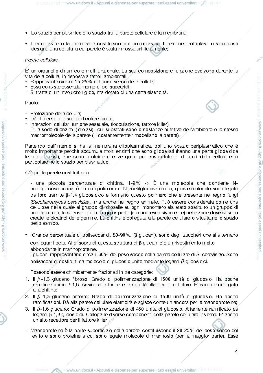 Anteprima pagina 4 — Appunti Microbiologia enologica