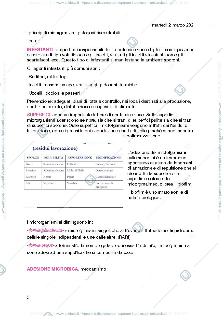 Anteprima pagina 3 — Microbiologia alimentare