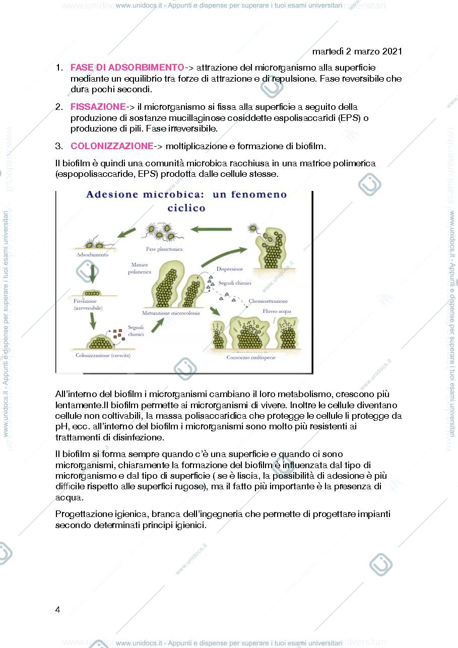 Anteprima pagina 4 — Microbiologia alimentare
