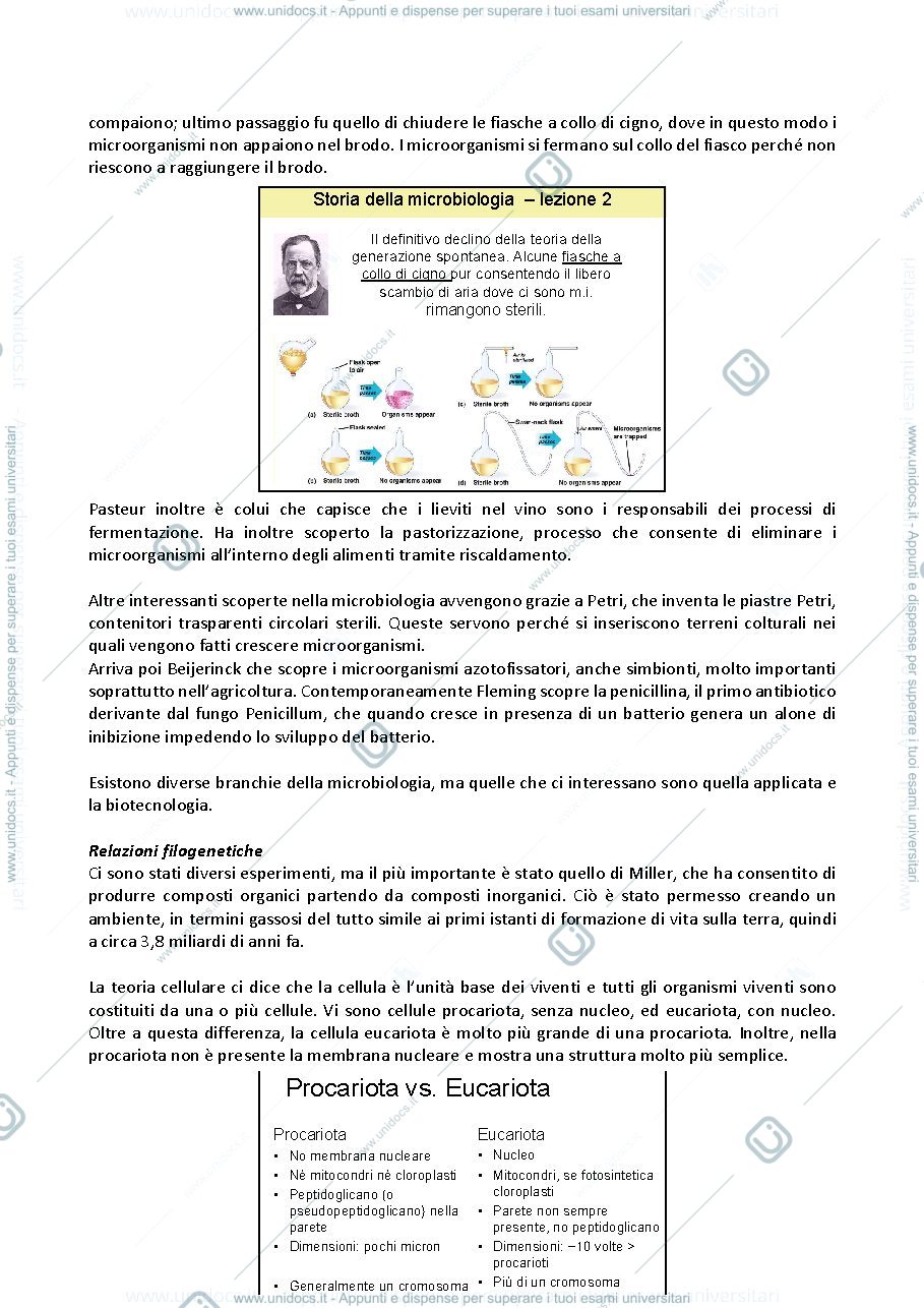 Anteprima pagina 2 — Microbiologia
