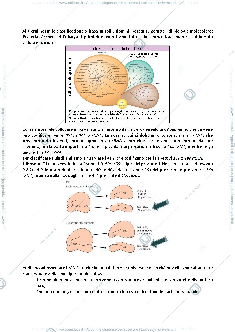Anteprima pagina 3 — Microbiologia
