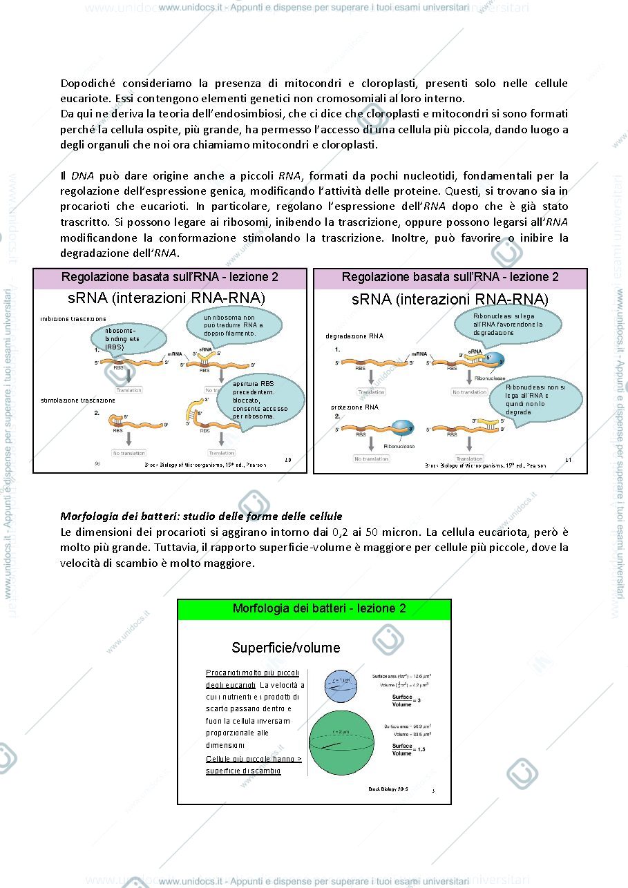 Anteprima pagina 4 — Microbiologia