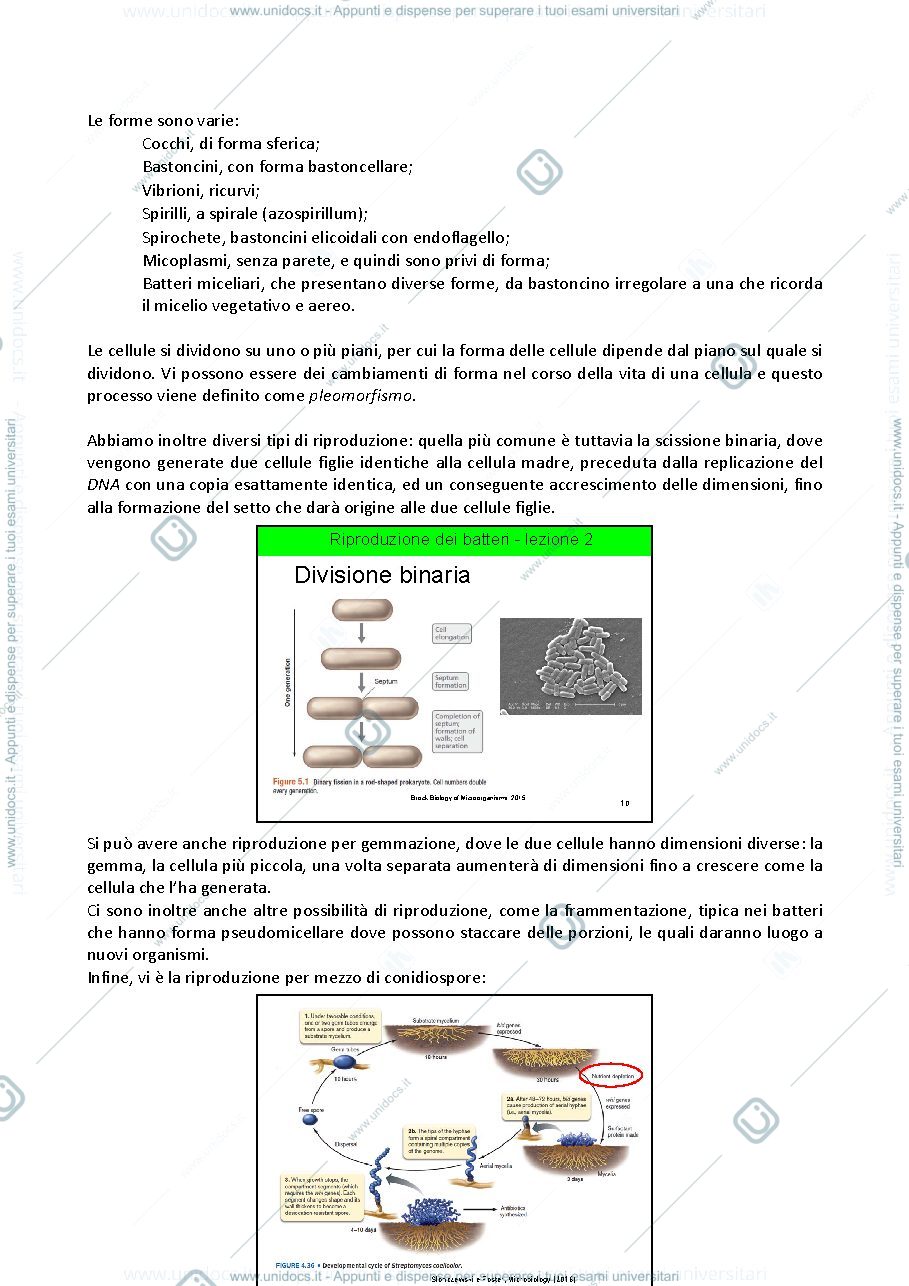 Anteprima pagina 5 — Microbiologia