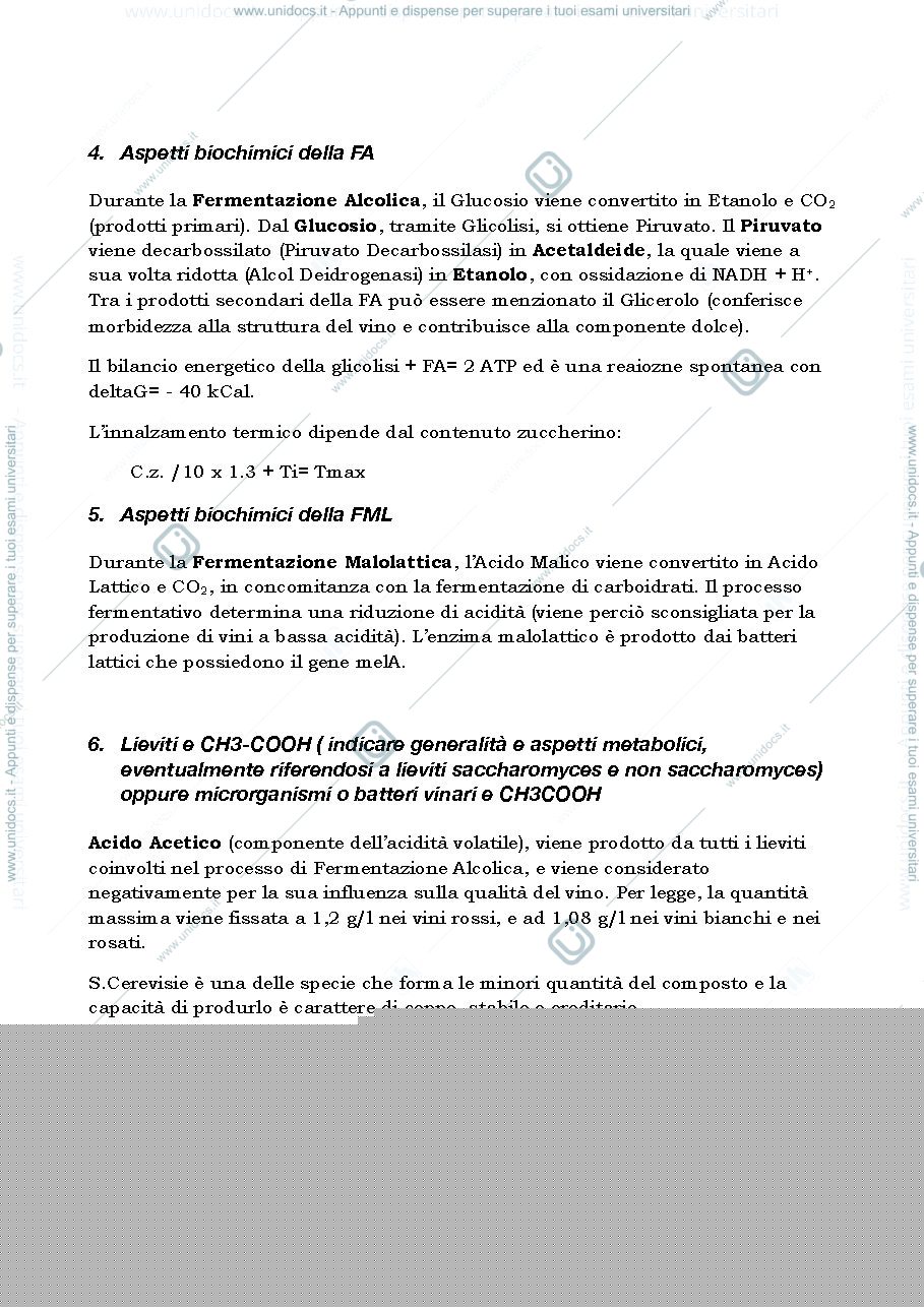Anteprima pagina 2 — domande e risposte 