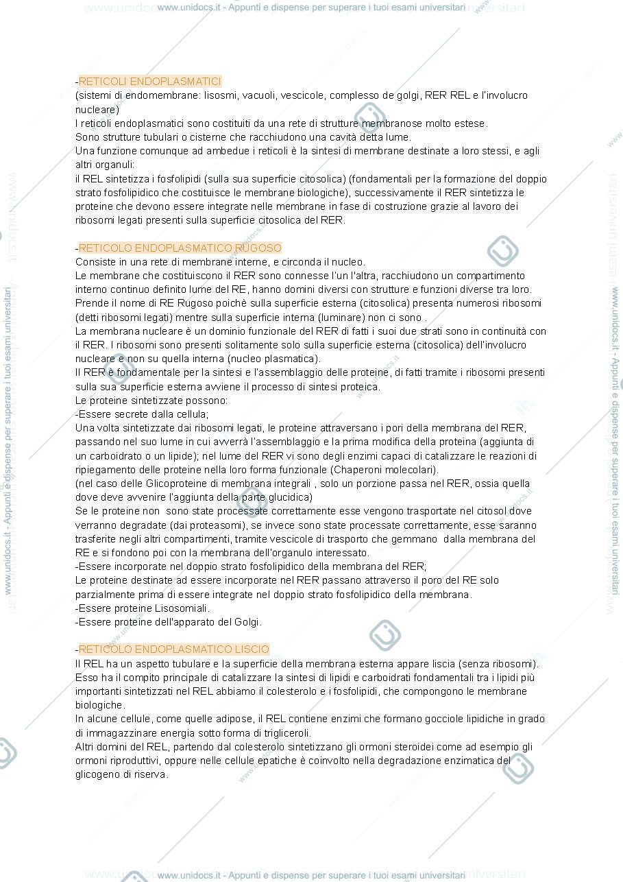 Anteprima pagina 1 — RE
