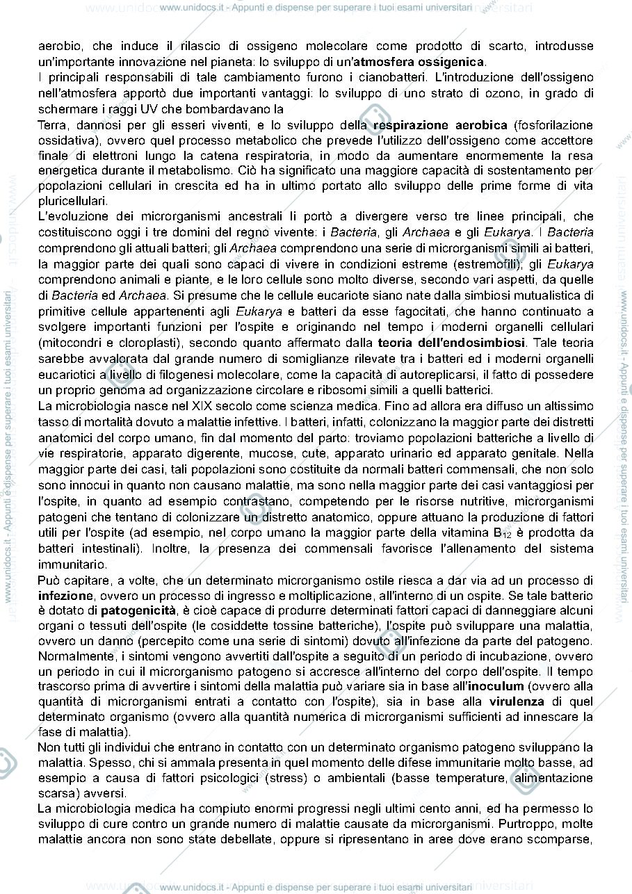 Anteprima pagina 4 — Appunti microbiologia