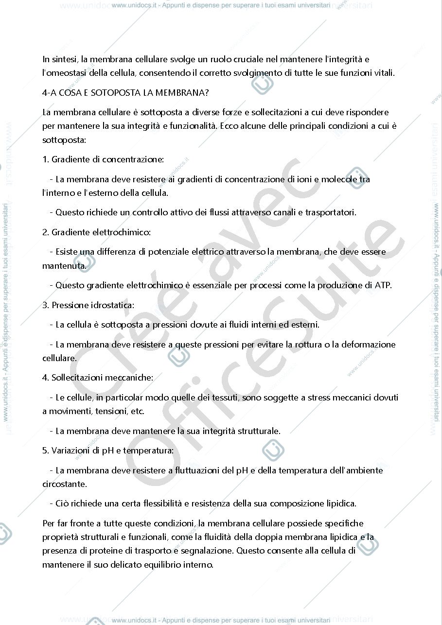 Anteprima pagina 3 — Prova orale Microbiologia Generale 