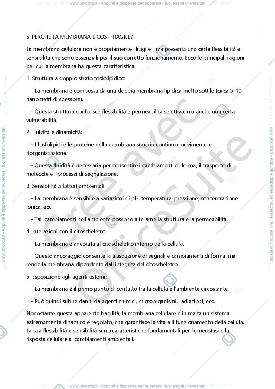 Anteprima pagina 4 — Prova orale Microbiologia Generale 