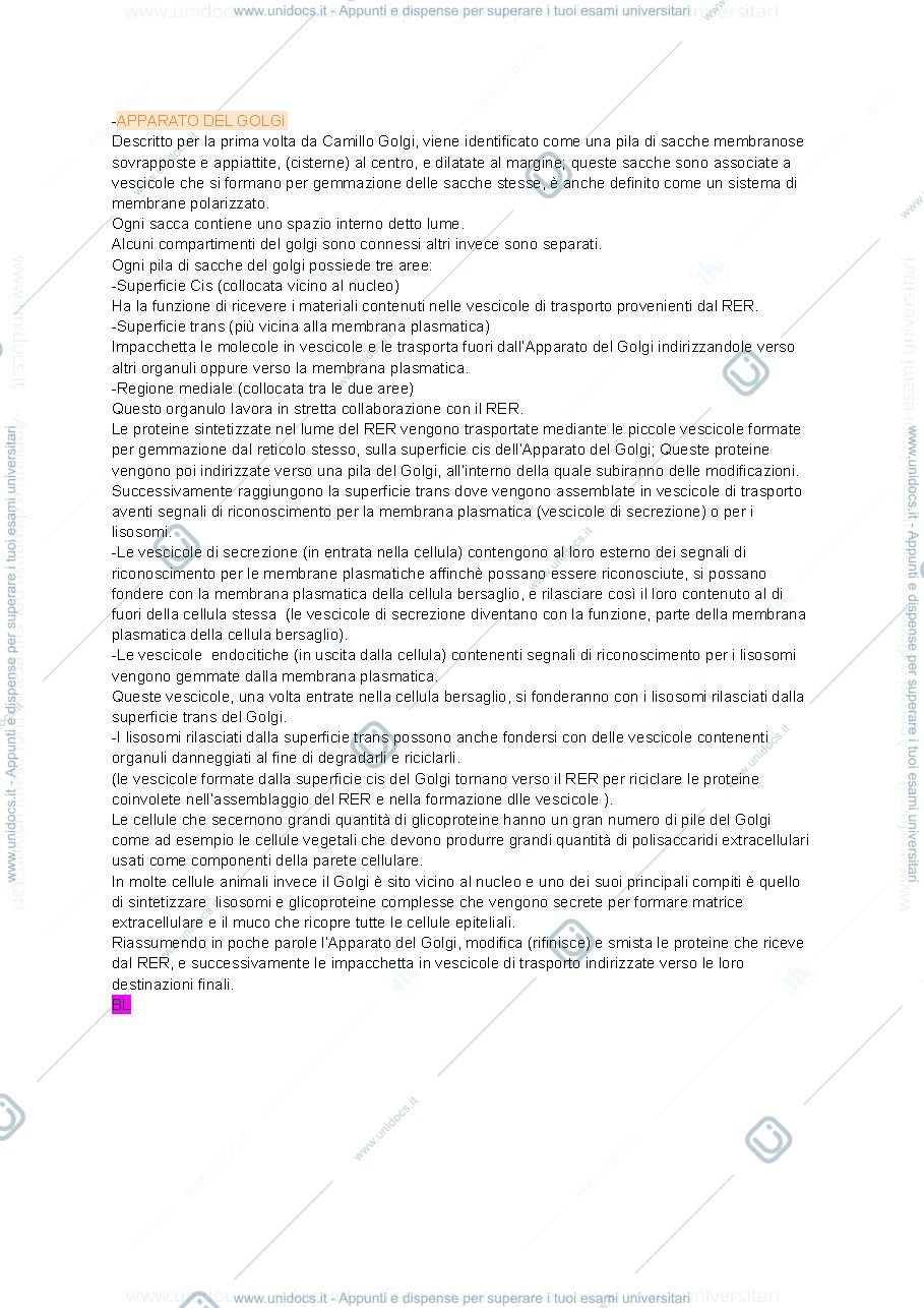 Anteprima pagina 1 — Apparato del Golgi