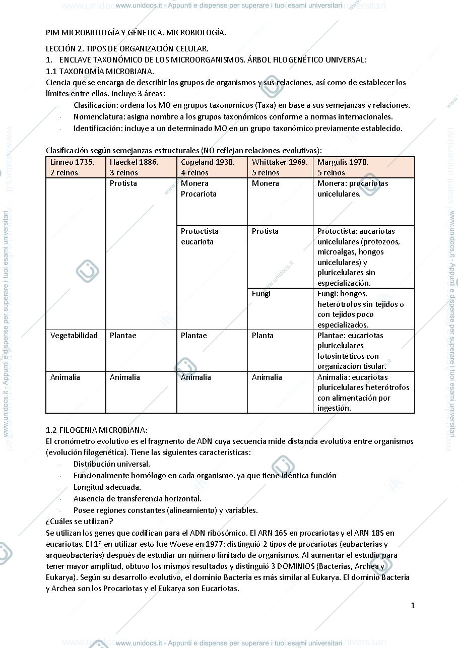Anteprima pagina 1 — lezione 3