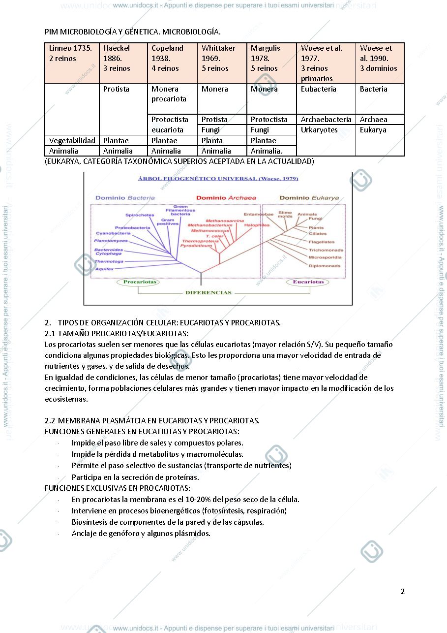 Anteprima pagina 2 — lezione 3
