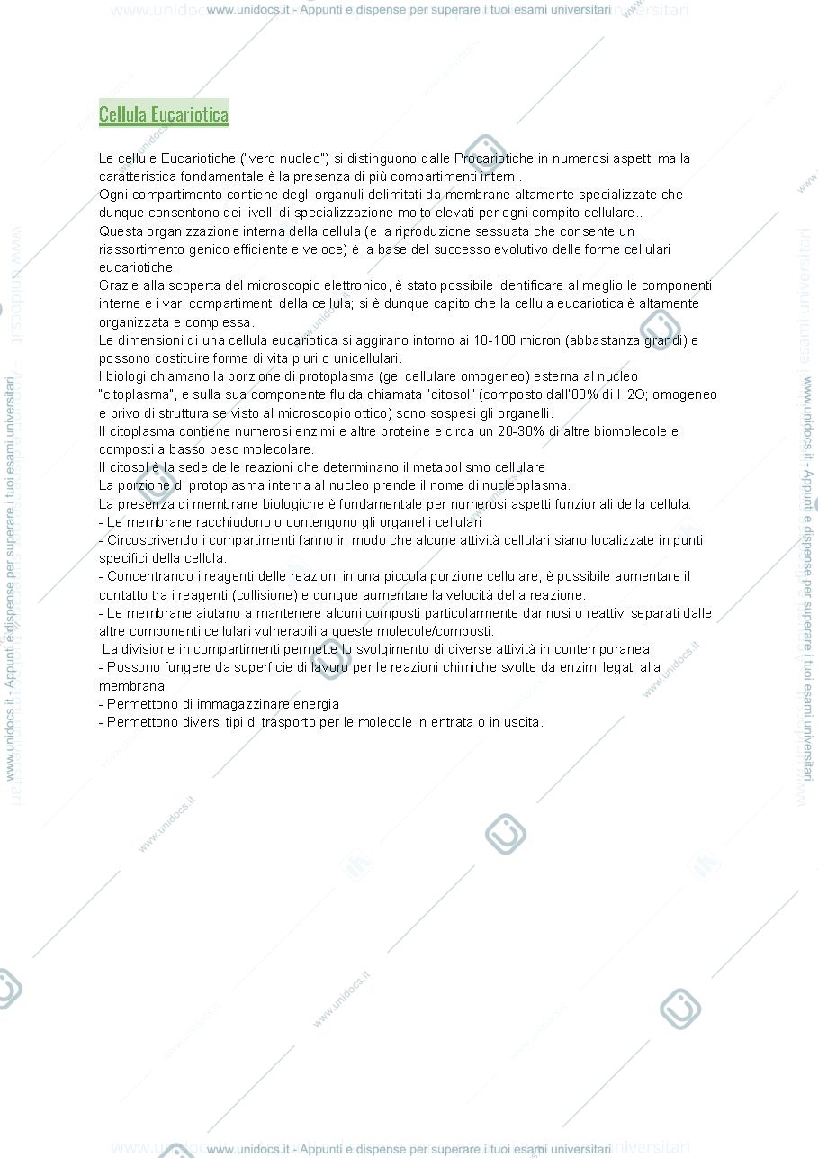 Anteprima pagina 1 — Cellula Eucariotica