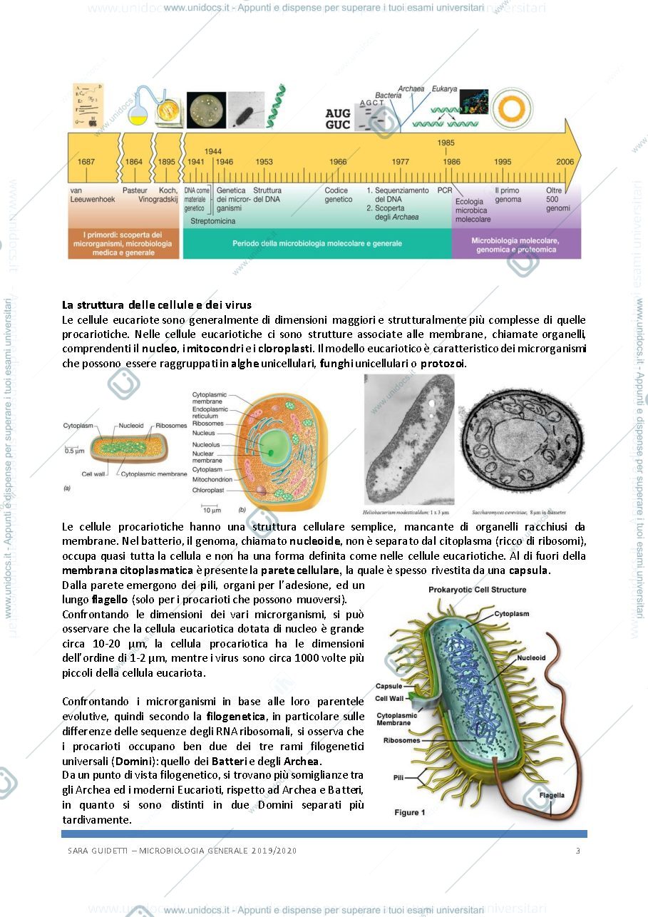 Anteprima pagina 3 — Microbiologia generale