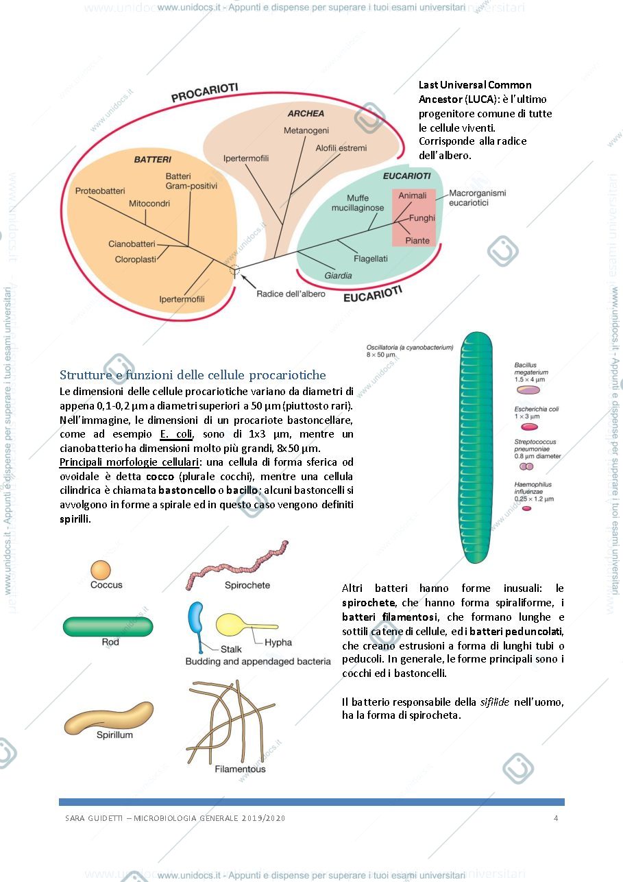 Anteprima pagina 4 — Microbiologia generale
