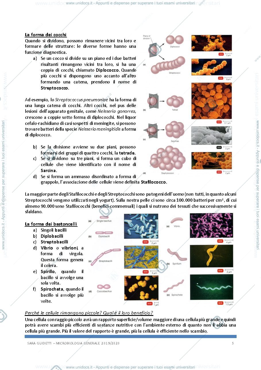 Anteprima pagina 5 — Microbiologia generale