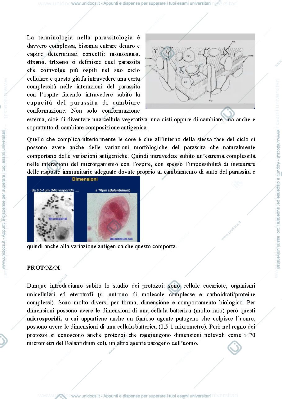 Anteprima pagina 2 — Microbiologia generale parte1