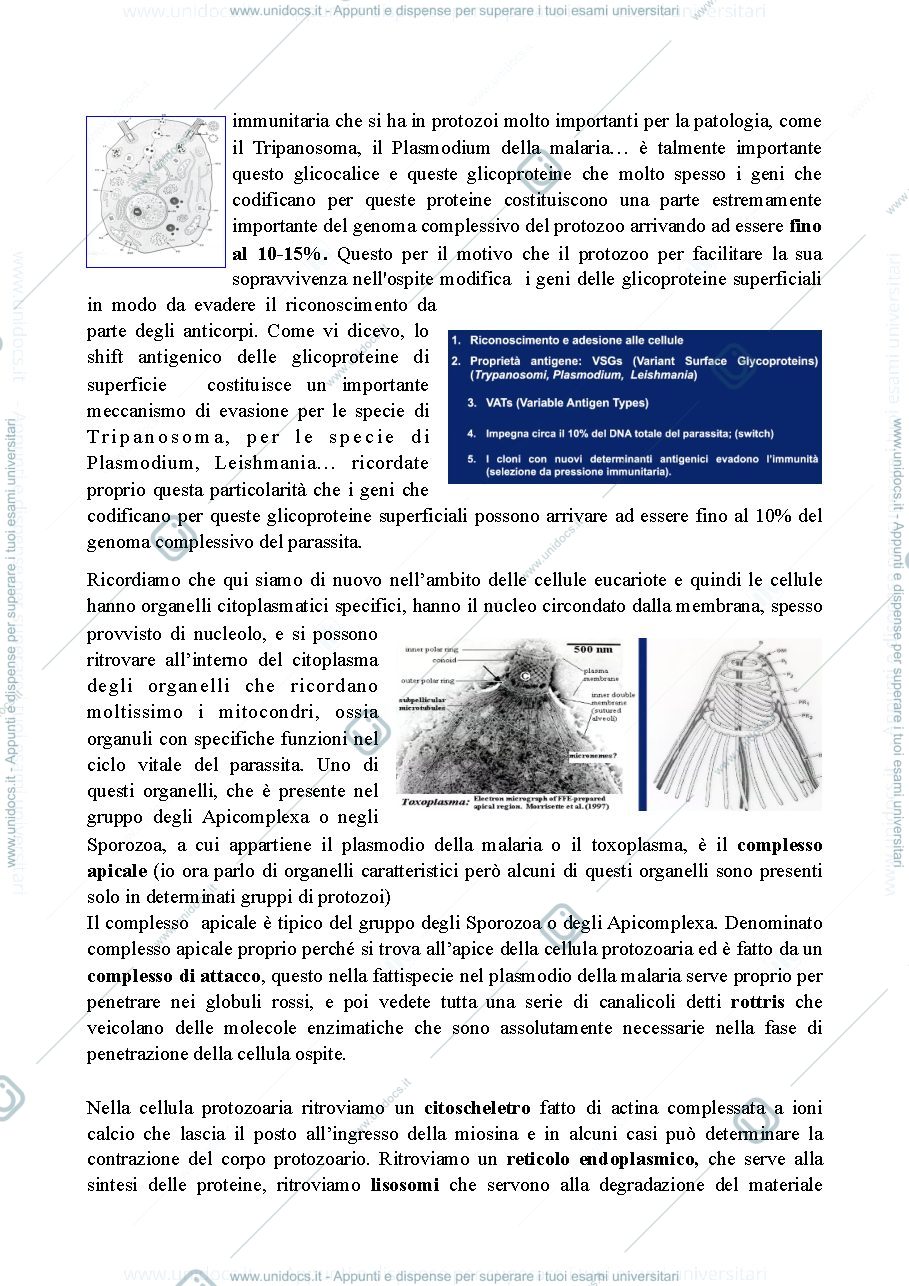 Anteprima pagina 4 — Microbiologia generale parte1