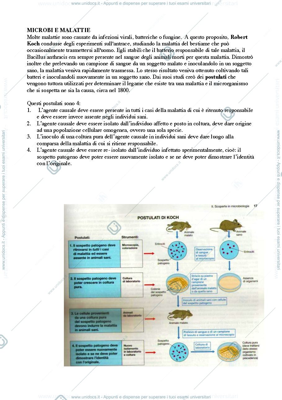 Anteprima pagina 4 — microbiologia generale